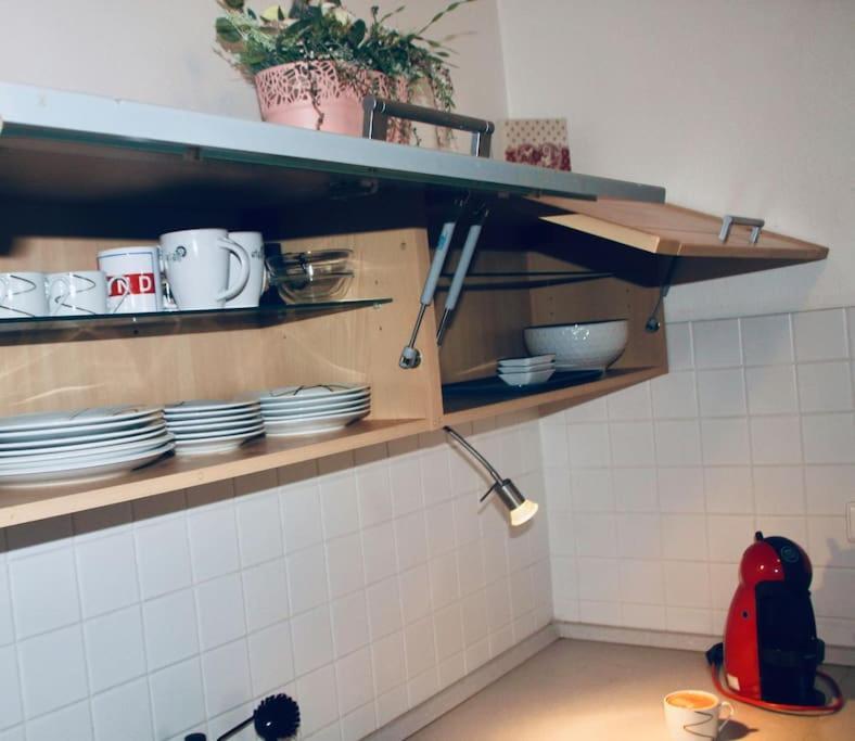 Jasmine Apartment - Free Parking - City Center - Skibus - Tatralandia 5Km Liptovský Mikuláš Buitenkant foto